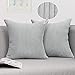Alishomtll 2er Set Kordsamt Kissenbezüge Dekorative Kissenbezug Set, 45x45 cm Doppelseitige Zierkissenbezug Weich Kissenhülle Uni Couchkissen Bezug für Wohnzimmer Sofa, 18x18 Inch Grau