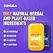 Z!NGHA Dual Nasal Inhaler Stick - Peppermint, Eucalyptus, and Lavender Essential Oil Blend for Focus and Refreshing Aromatherapy, 4 Pack