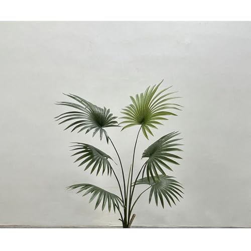 [LJKI]  K̖ lHϗtA A[gO[ L R ȒP CeAO[ JXj JƏj A ^ 200cm 傫 A V̖  J^   Ղ 蕨 V zj v[g