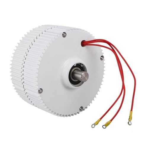 48V Doble eje 3 fase Magnet permanente Generador de CA sincrónico Alta eficiencia EXPERICIDAD DE DUAL MOTOR Eléctrico para turbinas eólicas Aleación de aluminio Acero de carbono (300W)