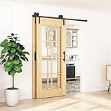 JHGJBJ Puerta Corredera Riel para Puerta Corredera Granero, Accesorios De Hardware De Monorraíl De Doble Puerta, Kit De Hardware Silencioso Negro, Material De Acero Al Carbono (sin Puerta)