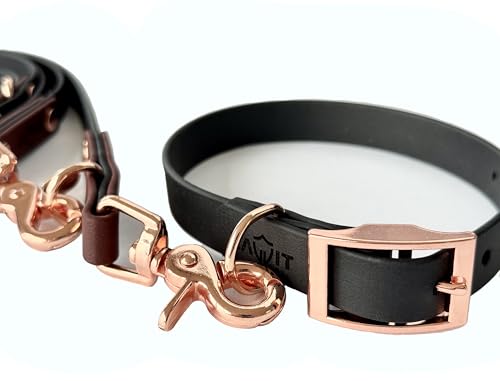 Langlebiges BioThane Hundehalsband 16/19 / 25mm mit Schnallenverschluss | Wasserfest & Robust | In 5 Größen (XS, S, M, L, XL) | Passend zu den ZAVVIT Leinen (Schwarz/Roségold)