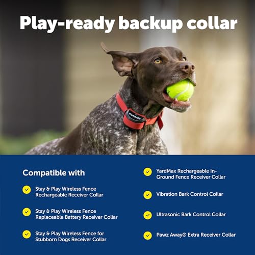 PetSafe 3/4 Inch Replacement Collar Strap, Black | No-Holes, Compatible with Many PetSafe Bark, Wireless Fence, In-Ground Fence, and Pawz Away Collars, Fits Necks 6-28 In - image 6