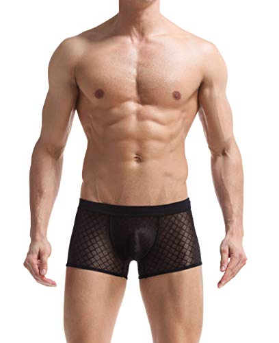 Men's Comfortable Sheer Sexy See-Through 3-Pack Boxer Briefs4
