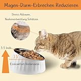 Sinbeon Katzennapf, 2 Stück 15° Schräg Futternapf Katze Edelstahl Set Mit Rutschfester Unterseite, Erhöhter Fressnapf Katze Hundenapf für Wasser Snack