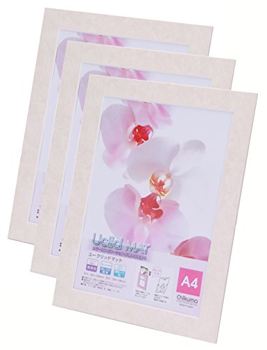 【まとめ買いセット】 Chikuma フォトフレーム Uclidマット A4 かいはく 3枚セット 15860-8