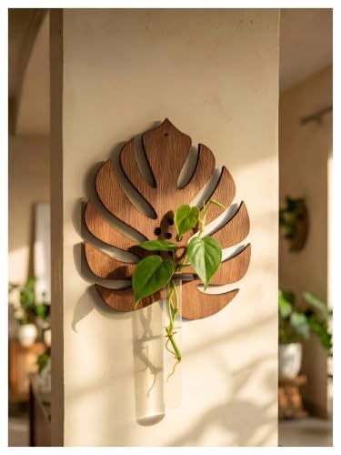 Image of Bombay Greens ; Sow, grow, eat, repeat Monstera Planter with Test Tube Wooden Holder | Indoor Planter Stand | Wooden Planter for Home Decor, Living Room, Balcony & Office Decoration - 1 Pc