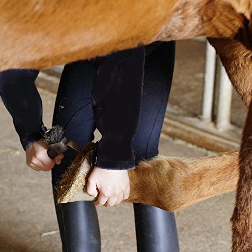 Cepillo de cascos para caballo con mango ergonómico y limpiacascos integrado 4