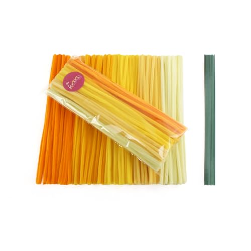 LOZIZI [ J[~bNX 6 mm 110{ J[[ Ntg[ H샂[ |[  t[ C[ i[ A[g DIY 蕨 `ޗ wZ f | pi 10{̃t[bh (D-CG[n~b