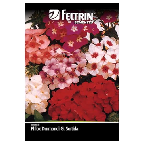 Kit 4 Sementes de Flores (Godetia, Phlox Sortido, Onze Horas, Vinca Rosea)