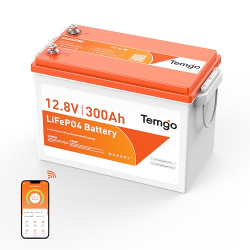 TEMGO 12V 300Ah Self-Heating LiFePO4 Lithium Battery with APP Monitoring | Low-Temp Protection, Built-in 200A BMS, 3840Wh Energy, 5000+ Cycles, for RV, Camper, Solar, Off-Grid