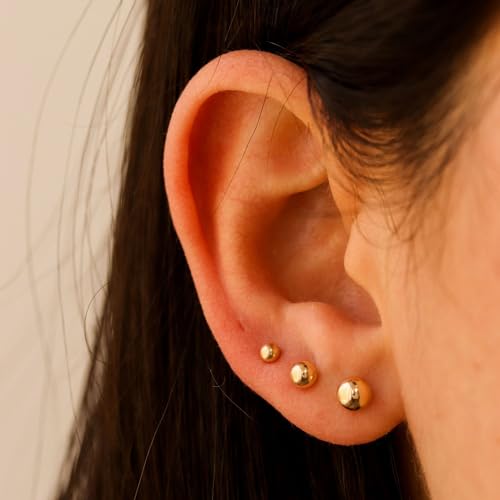 5 Pairs Extra Long Post Earrings 316L Stainless Steel Ball Stud Earrings for Women Men Hypoallergenic Ear Piercing Studs for Sensitive Ears 2-6mm2