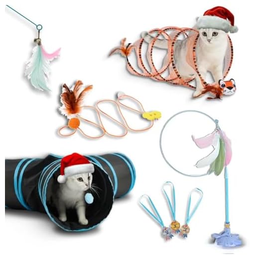 5-in-1 Interactive Cat Toy Set