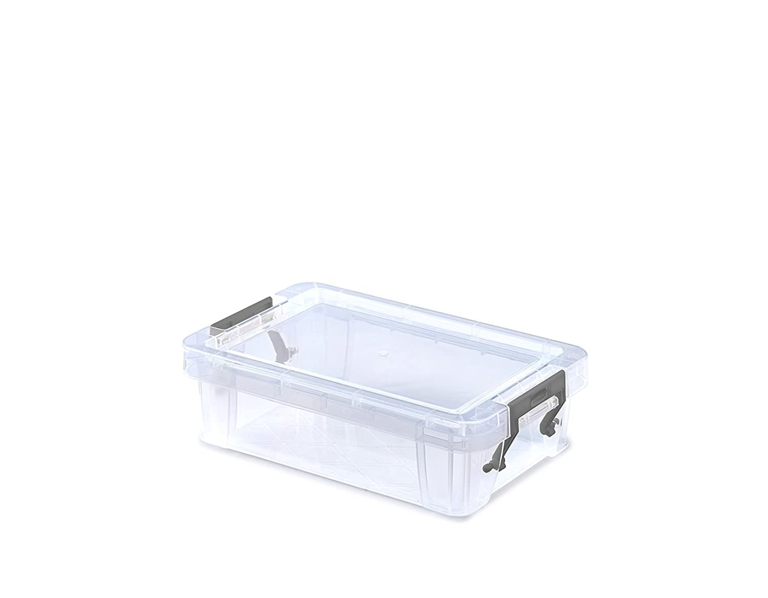 Whitefurze Allstore Container with Silver Clamp, Plastic, Natural, 0.8 Litre