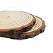 10pcs Wood Slices 4-4.7 inch Unfinished Natural with Tree Barks Large Wood Circle Coaster Craft Rustic Wedding Centerpiece Decor Disc Ornaments DIY Woodland Projects Table Chargers