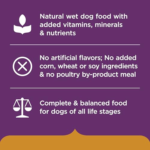 Nutrish Hearty Recipes Wet Dog Food Variety Pack, 8 oz. Tubs (Rachael Ray) - image 5