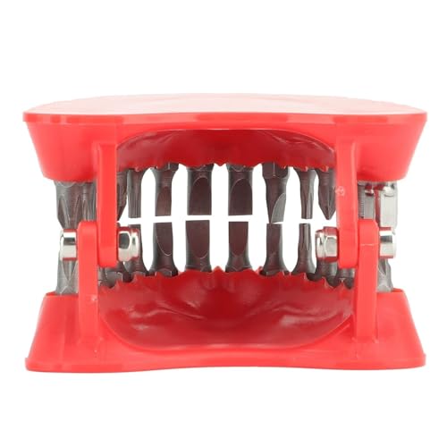 Prothesenbohrer-Halter, Prothesenbohrer-Organizer, Prothesen-Schraubendreher-Organizer, Prothesenbohrer-Halter mit 28 Bits, passend für Schreibtisch-Gadget-Dekoration (Mit Bits)
