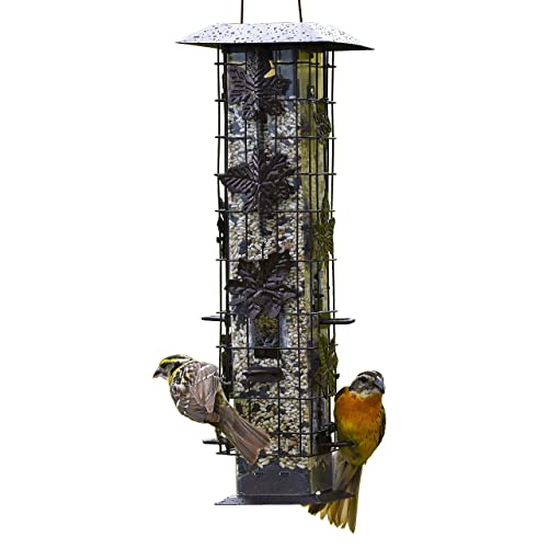 Perky-Pet 336-1SR Squirrel-Be-Gone Squirrel Proof Bird Feeder, 2LB, Outdoor Wild Bird Feeder with Weight-Activated Perches