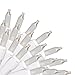 Brite Star 150 Count 8-Function Chasing Light Set, White Wire, Clear