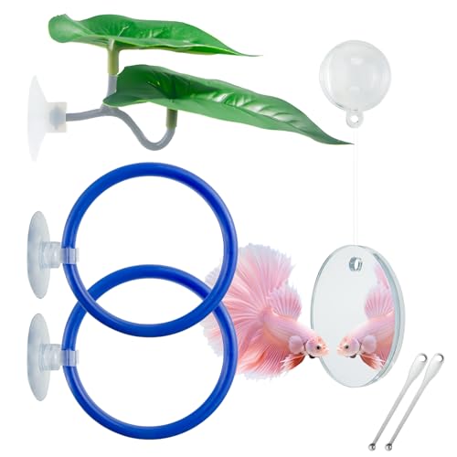 Betta Training Mirror & Feeding Kit