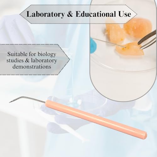 The 30 Best Lab Dissection Instruments of 2026 [Verified] - Cherry Picks