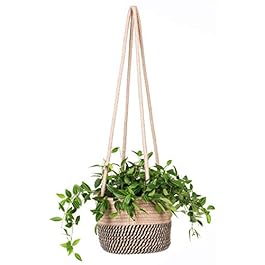 Hanging Planter Basket...