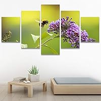 SIGNWIN 5 Panel Canvas Wall Art Modern Art Ants Butterfly Colorful Insects Minimalist Multicolor Photography for Home Decorations Ready to Hang - 60