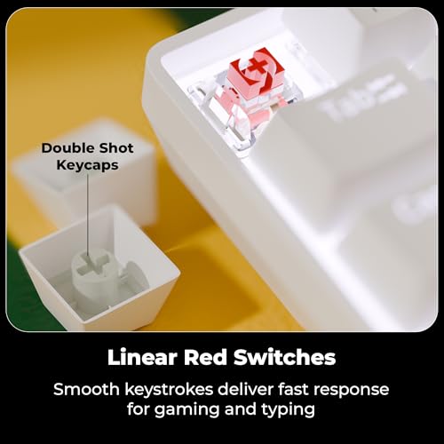 Image of Zebronics Mechanical Keyboard, Silent Linear Red Switches, 61 Keys Layout, 26 Key Anti Ghosting, Double Shot Keycaps, 17 LED Modes, Media Controls, 1.5m Cable (Max Ninja 61, White)
