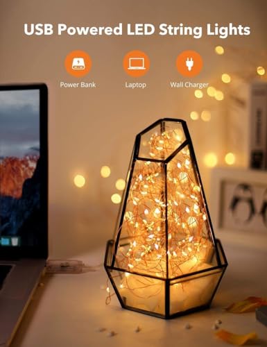Image of Lexton 10 m Led Copper String Light | USB Sourced | Warm White | for Indoor & Outdoor Decorations, Diwali, Christmas, Wedding, Party, Lawn | Pack of 2