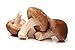 Dried Shiitake Mushrooms - 25g