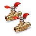 Pexflow 615P012-2 Full Port x PEX Barb Ball Valve Water Shut Off With Tee Handle 1/2" Brass (Pack of 2}