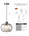 CASAMOTION Pendant Lighting Handblown Glass Drop Ceiling Lights, Modern Rustic Hanging Light Clear Seeded Glass with Black Sand Powder, Brushed Nickel Finish 8.7 Inch Diameter