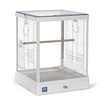acrylic bird cages pros and cons