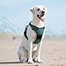 Eagloo Hundegeschirr Grosse Hunde, Anti Zug Hundegeschirr mit Reflexstreifen und Kontrolle, Verstellbar und Einstellbar Geschirr Hund Groß, Brustgeschirr für Labrador, Dunkelgrün, L