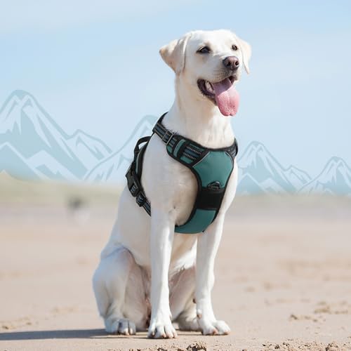 Eagloo Hundegeschirr Grosse Hunde, Anti Zug Hundegeschirr mit Reflexstreifen und Kontrolle, Verstellbar und Einstellbar Geschirr Hund Groß, Brustgeschirr für Labrador, Dunkelgrün, L