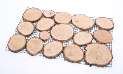 PROREGAL Gartenweg aus Holz | HxBxT 80x50x2,2 cm | 2 cm dichte des Eichenholz | 4 Stück | Gehplatten, Holzscheiben, Holzplatten, Gartenplatten PROREGAL Gartenweg aus Holz | HxBxT 80x50x2,2 cm | 2 cm dichte des Eichenholz | 4 Stück | Gehplatten, Holzscheiben, Holzplatten, Gartenplatten