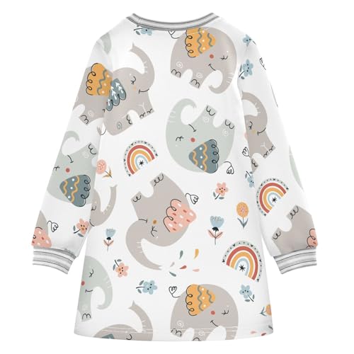 Cute Elephants Girls Dresses Long Sleeve Sweatshirt Dress for Girls Winter Toddler Casual A Line Dresses Size 2-8T2
