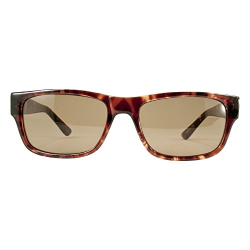 Black Flys McFly Sunglasses - Tortoise - Brown Polarized2