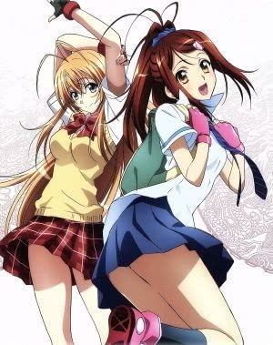 Amazon.co.jp: 一騎当千 XTREME XECUTOR Blu－ray
