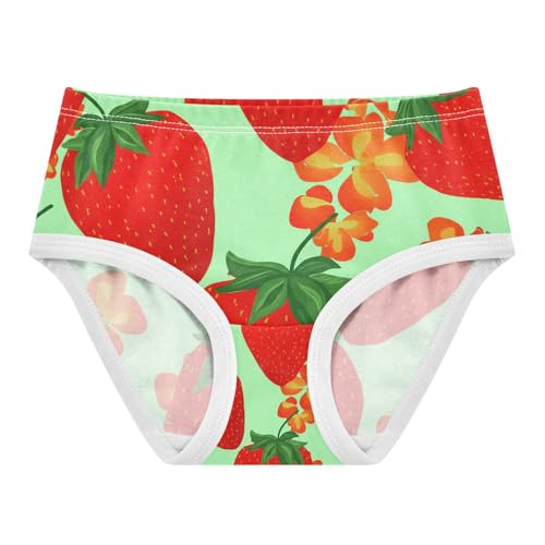 Strawberry Toddler Girls's Underwear 2T 202c1323