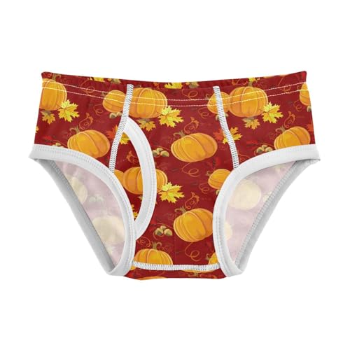visesunny Boys Cotton Underwear Pumpkin Fall Maple Leaf Orange Printed Toddler Soft Training Briefs Size 2T-8Y for Kids
