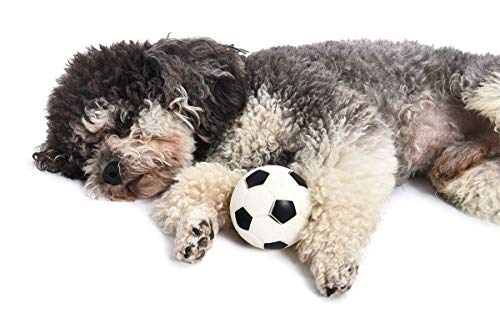 Image of Combo of 3 Natural Rubber I Vinyl Squeaky Toy I for Small Puppy /Dogs - 1 Basket Ball + 1 Foot Ball + 1 Puppy Face Ball (Color May Vary) (Combo-E)