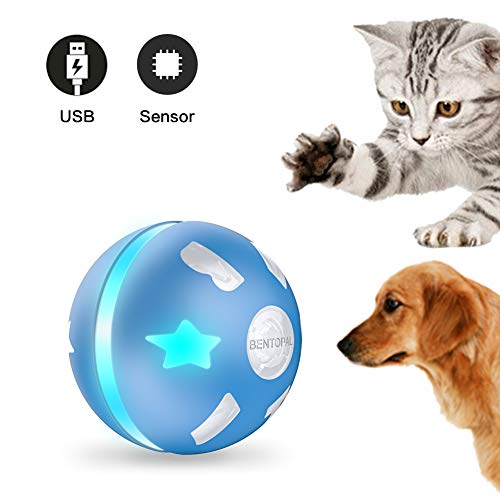 PetDroid Interactive Cat/Dog Toys Ball,Motion Activated Automatic Rolling Ball Toys for Cats/Kitten,USB Rechargeable (Blue)