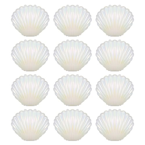 Boîte présent en plastique de coquillage haut de gamme Anneome pour écrin à dragées de mariage