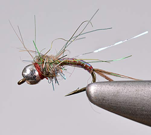 Region Fishing Tungsten Bead Rainbow Warrior Midge Nymph Fly - 1 Doz Flies on Mustad Signature Hooks (Hook #20)