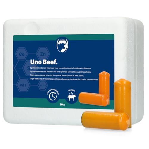 Fournitures de soins pour bétail et élevage de bovins de viande