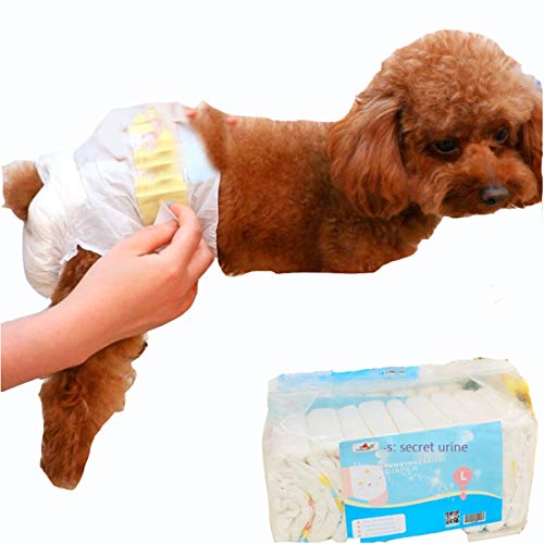 Couches pour chien femelle à haute absorption : 10 serviettes hygiéniques