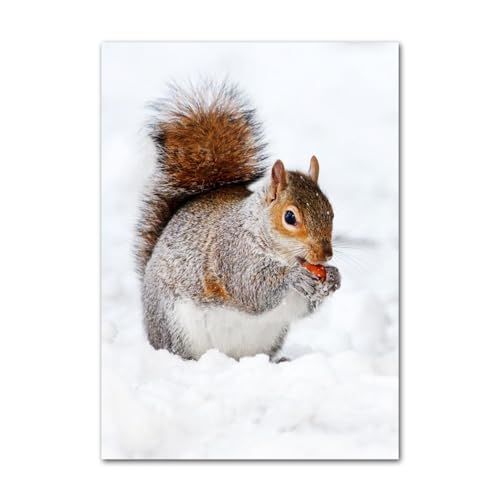 Affiche 30x50cm Cerf Foret Flaneur Deco Cuisine Nord - 4