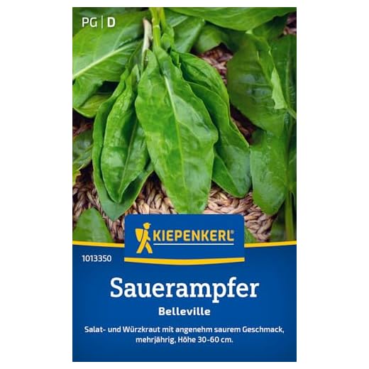 Kiepenkerl Sauerampfersamen Belleville 1013350 – Mehrjähriges Salat- und Würzkraut mit einer Höhe von 30 bis 60 cm und einem Inhalt für 200 Pflanzen, Kräutersamen, Saatgut