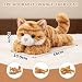 Imagen de Peluche de gato, gato de peluche